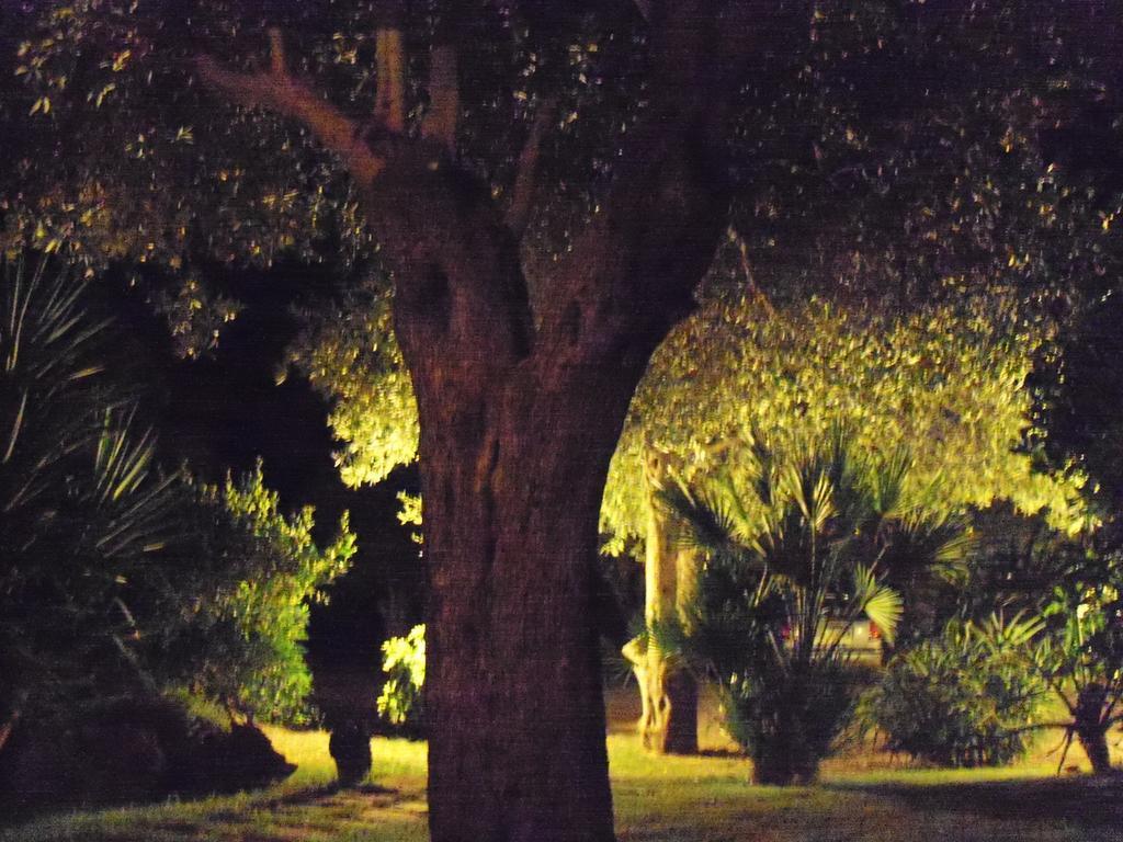 Gli Ulivi Διαμέρισμα Αλγκέρο Δωμάτιο φωτογραφία